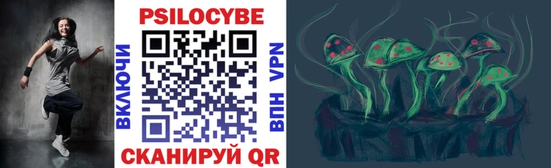 мега маркетплейс Черкесск Галлюциногенные грибы Psilocybe
