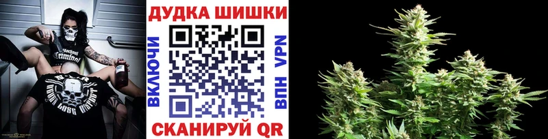 shop состав  где продают наркотики  Черкесск  Канабис ГИДРОПОН 